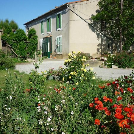 Virevent Villa Carcassonne Eksteriør bilde